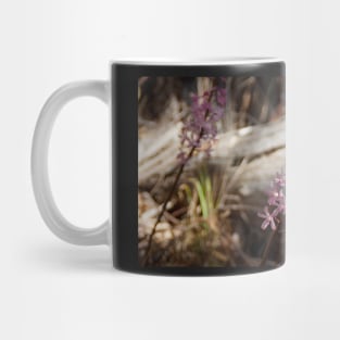 Hyacinth Orchids - Magpie Springs - Adelaide Hills - Fleurieu Peninsula - South Australia Mug